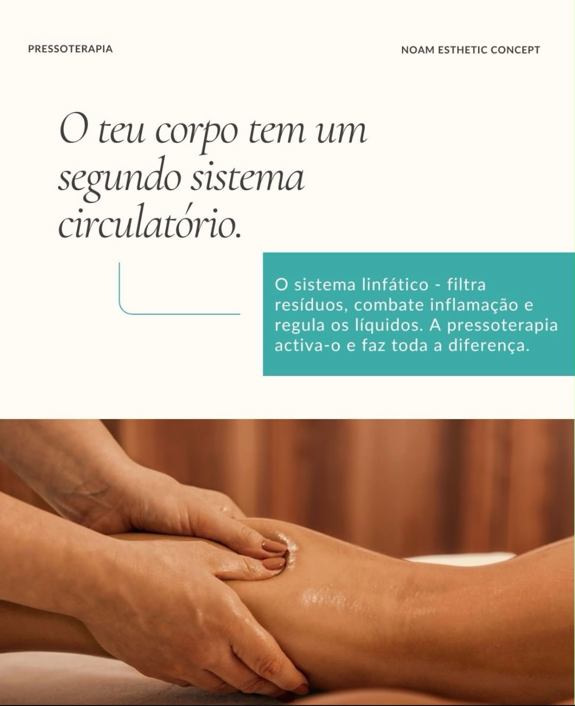 Carrossel Instagram Noam Esthetic Concept - segundo sistema circulatório